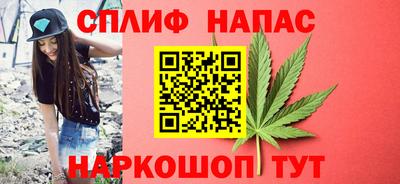 прущие грибы Рязань