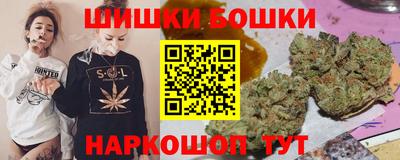 индика Рыбинск