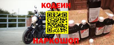 индика Рыбинск