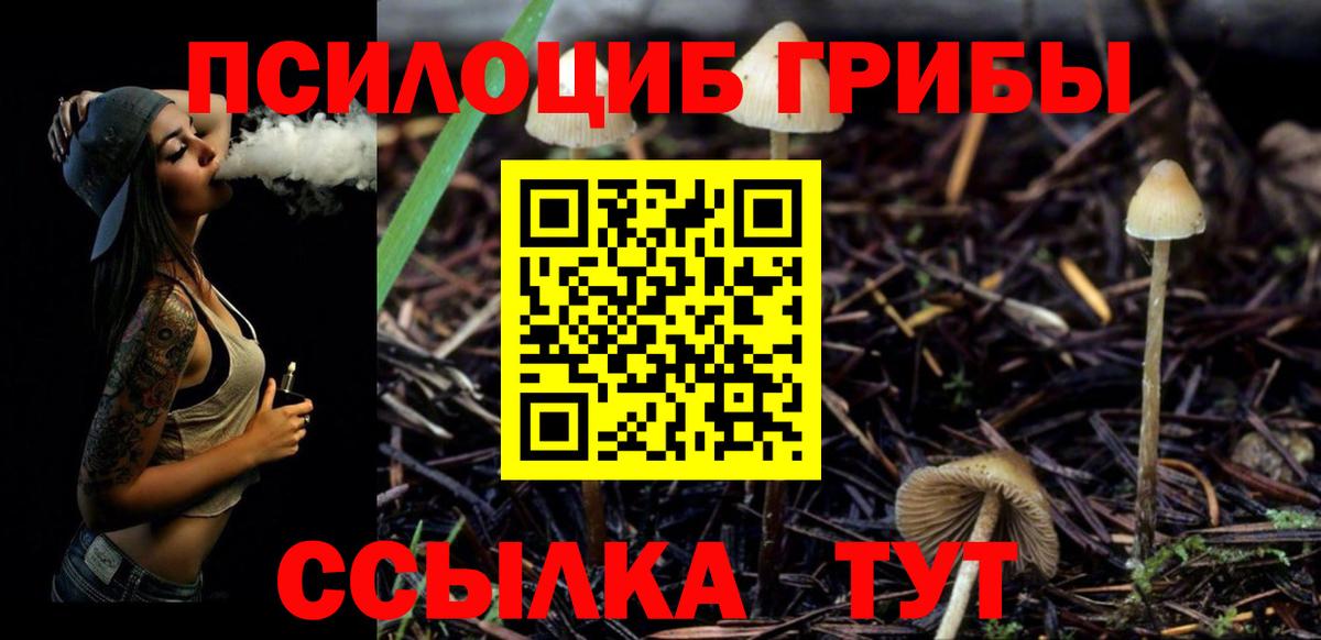 Псилоцибиновые грибы MAGIC MUSHROOMS  Вход с VPN  Сатка 