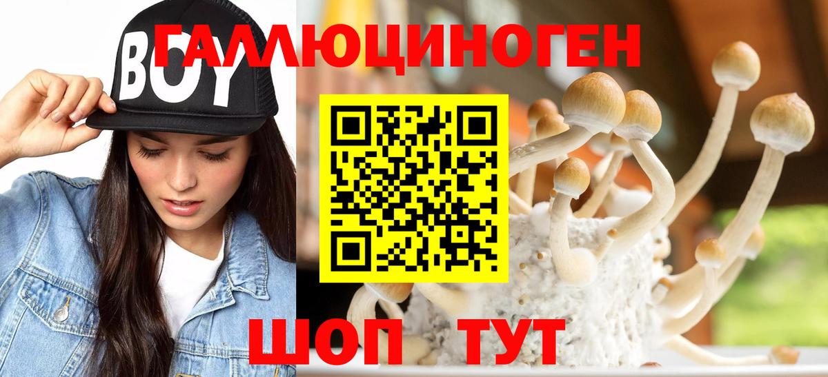 Галлюциногенные грибы мухоморы Сатка